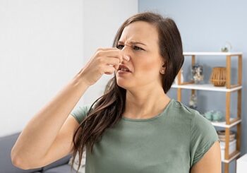 bosch dishwasher smells