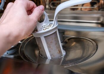 how to clean a smelly dishwasher