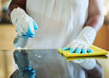 Sanitizing Cycles and Other Ways to Kill Illness-causing Bugs