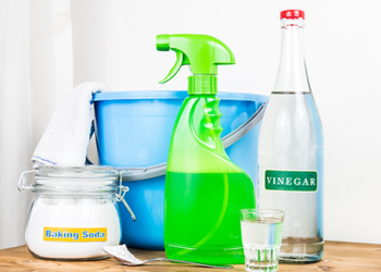 spring cleaning appliances