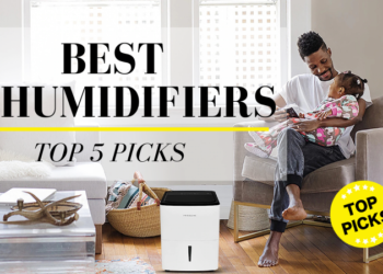 Best Dehumidifier (2021): 5 Best Dehumidifiers Reviewed