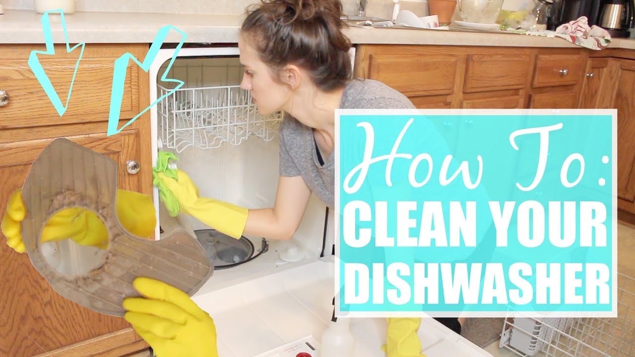 How to DEEP CLEAN your Dishwasher The Simple Life Allie Gooch
