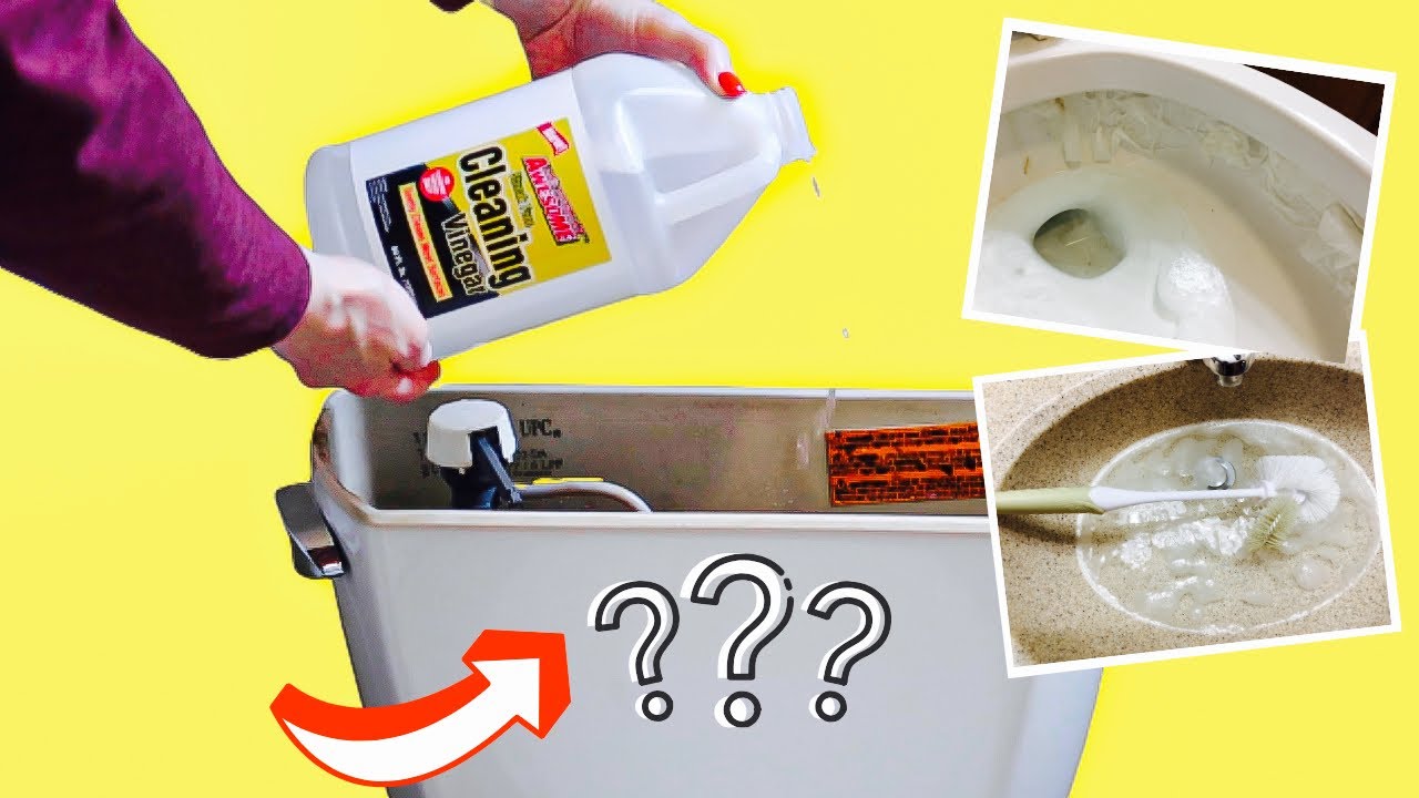 put-vinegar-into-your-toilet-and-watch-what-happens-bathroom