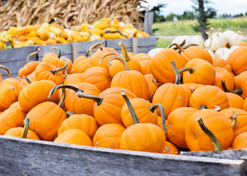halloween minneapolis 2018