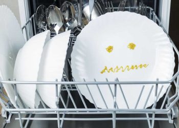 dishwasher not getting water
