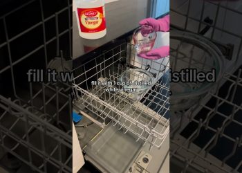 How to Clean a Dishwasher #shorts #cleaningtips