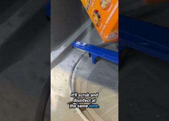 Wave Goodbye to Mold! Natural Dishwasher Hacks