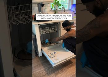 How to deep clean your dishwasher